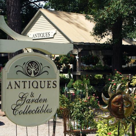 A Little Loveliness: Hilton Head Island Shopping & Dining Hilton Head South Carolina, Hilton Head Sc, Hilton Head Island South Carolina, Local Shops, Head Shop, Antique Store, Hilton Head Island, Hilton Head, Antique Stores