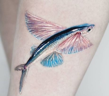 Colored Flying Fish Tattoo Flying Fish Tattoo, Fish Tattoo Color, Sardine Tattoo, John Tattoo, Fish Tattoo Ideas, New Tattoo Designs, Flying Fish, Fish Tattoo, Animal Study