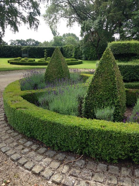 Lavender + topiary [ M O T O R C O U R T ... turning circle] Driveway Turning Circle, Turning Circle Driveway Garden Design, Lavender Topiary, Garden Circle, Fairfield House, Circle Driveway, Garden Driveway, French Style Decor, Garden Chic