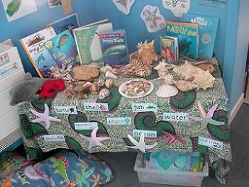 Under The Sea Role Play, Role Play Eyfs, Investigation Station, Role Play Ideas, Investigation Area, Reception Classroom, Dramatic Play Themes, Ocean Table, Sea Aquarium