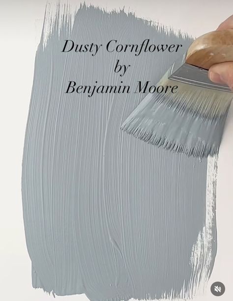 Gray Benko Paint Colors, Dusty Cornflower Paint, Muddy Blue Paint Colors, Muddy York Benjamin Moore, Benjamin Moore Dusty Cornflower, Bm Dusty Cornflower, Nantucket Fog Benjamin Moore, Benjamin Moore Nursery Colors, Dusty Cornflower Benjamin Moore