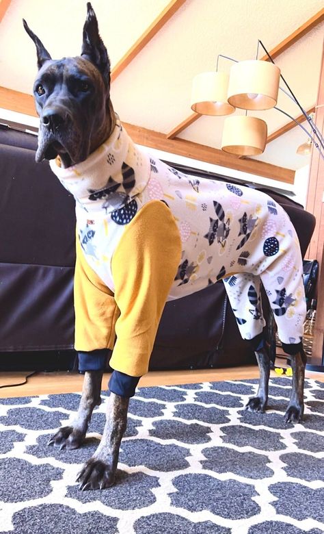 "Super Cozy Dog Pajama, made of soft, cozy, stretchy fleece that will keep your pup warm, comfy and make a fashion statement. The PJs are made to order specifically for you with many prints and options available. Dog PJs can be made entirely of the same print, or with complementing accent color sleeves and neck. The dog PJs have the option for Dino Spine that runs along the back.(see other listing in my store) It's very important to measure your pup for best fit. Include your pups breed and meas Great Dane Mastiff, Irish Wolfhound Dogs, Dog Pjs, Cold Weather Dogs, Fleece Patterns, Cozy Dog, Pajama Pattern, Dog Fleece, Dog Pajamas