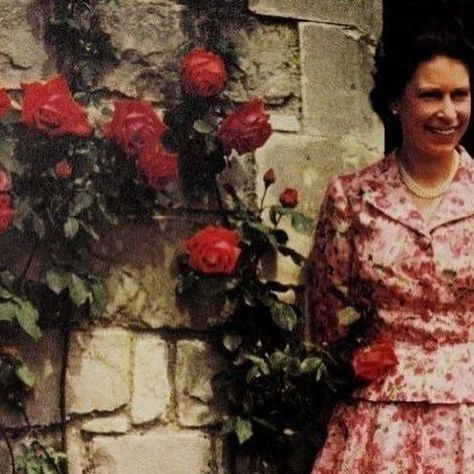 Queen Elizabeth II on Instagram: "Queen Elizabeth II with her daughter Princess Anne in 1959. 

📸 Lisa Sheridan / Getty 

#queenelizabeth #princessanne #royalfamily #queenelizabethii #royal #monarchy #queen #windsor #motherdaughter" Royal Monarchy, Instagram Queen, Isabel Ii, Princess Anne, Queen Elizabeth Ii, Elizabeth Ii, Queen Elizabeth, Mother Daughter, Windsor