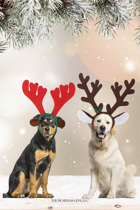 Two-pack antler headband is very cute and will win a lot of admiration, increasing the festive atmosphere. Make your dogs cute and stylish. Our headband is based on reindeer antlers and combines Christmas features, the antlers are supported by hard plastic, adjustable, durable, and can keep the shape for a long time. #ad #dogs #fall #winter #dogcostume #santa #animals #petsupplies Reindeer Dog, Antler Headband, Pet Christmas, Dogs Cute, Holiday Costumes, Reindeer Antlers, Christmas Costume, Dog Costume, Christmas Costumes