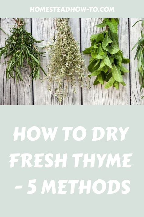 Thyme is such a wonderful herb to grow in your garden. It makes the perfect addition to a variety of dishes including soups and stews. Drying thyme preserves it for later use - allowing you Uses For Thyme, Drying Thyme, Coconut Milk Soup, Thyme Recipes, Roasted Butternut Squash Soup, Classic Italian Dishes, Homemade Tomato Sauce, Dried Apples, Homemade Seasonings