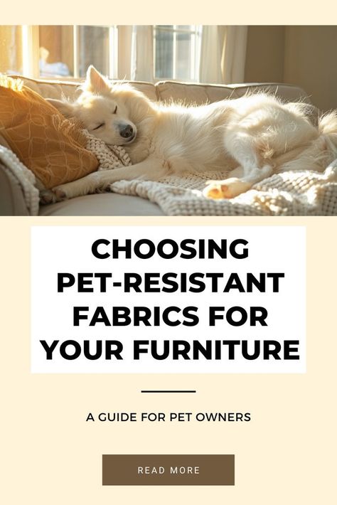 Best Pet-Resistant Fabrics for Furniture | Durable & Stylish Options Best Fabric For Sofa, All Season Porch, Denim Furniture, Microfiber Couch, Cool Couches, Couch Fabric, Dog Nails, Best Furniture, Furniture Makeovers