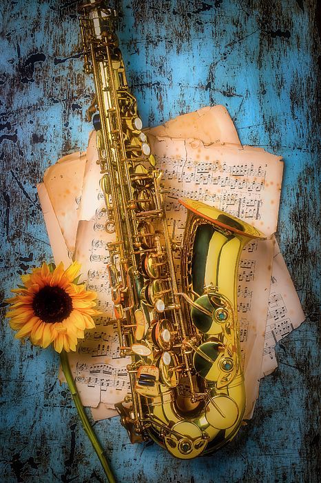 Aesthetic Saxophone Pictures, Saxophone Photography, Alto Saxophone Sheet Music, Saxophone Art, Jazz Instruments, Music And The Brain, Jazz Saxophone, Violin Art, Instruments Art