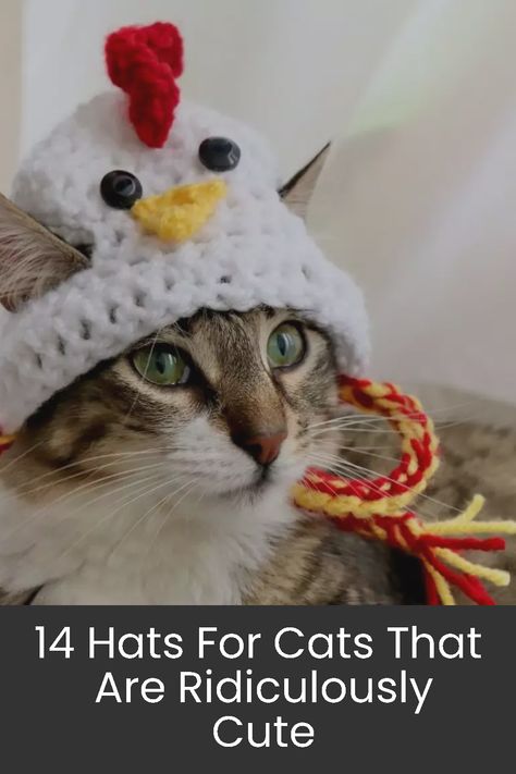 Adorable hats for cats that you can purchase from Etsy. Crochet A Hat For A Cat, Crochet Cat Hat Pattern Free Repeat Crafter Me, Crocheted Hats For Cats, Free Crochet Cat Hat Pattern, Crochet Hats For Cats Pattern Free, How To Crochet A Cat Hat, Crochet Pet Hats Free Pattern, Crochet Hat For Cat Pattern Free, Crochet Hats For Cats