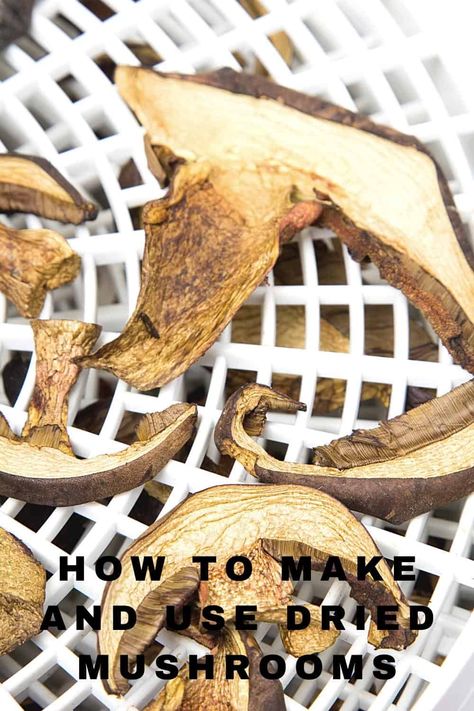 How to dry mushrooms and use dried mushrooms to save money How To Dry Mushrooms, Drying Mushrooms, Dehydrate Mushrooms, Dry Mushrooms, Dehydrator Recipes Fruit, Mushroom Dishes, Puffball Mushroom, Hand Held Food, Growing Mushrooms At Home