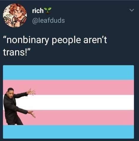 Literally what the white stripe stands for Trans Positivity, Lgbtq Equality, Rainbow Stuff, Nonbinary People, Trans Flag, Lgbtq Funny, Identity Crisis, Trans Rights, Gay Memes