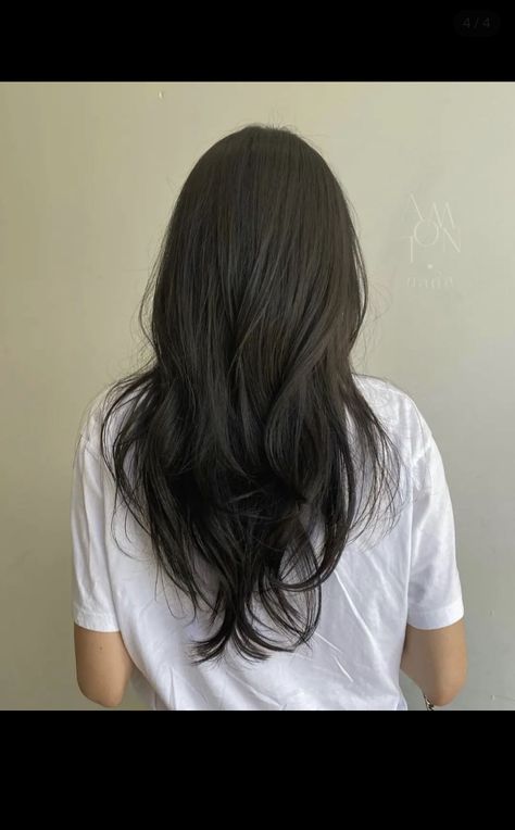 Manta Ray Haircut, Medium Layered V Shaped Haircut, Asian Layer Hair, Long Layered Haircuts Asian Hair, Asian Long Layered Haircuts, Hair Cuts For Long Thick Hair Straight, Wispy Ends Haircut, Korean Hairstyle Layered, Long Layered Hair Asian Straight