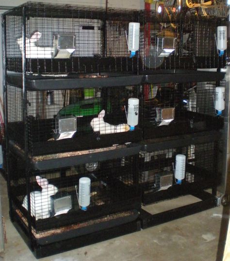 rabbit cage setup. These are really nice cages. Rabbit Cage Setup, Meat Rabbits Breeds, Raising Meat Rabbits, Rabbit Shed, Rabbit Hutch Indoor, Raising Rabbits For Meat, Rabbit Habitat, Laying Chickens, Rabbit Farm