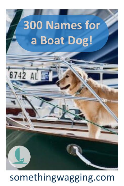 300+ names for boat dogs! One will be perfect for your nauti girl or boy. Nautical Sayings, Cool Boat Names, Nautical Names, Dogs On Boats, Girl Dog Names, Boat Names, Water Boat, Girl And Dog, Boat Parts