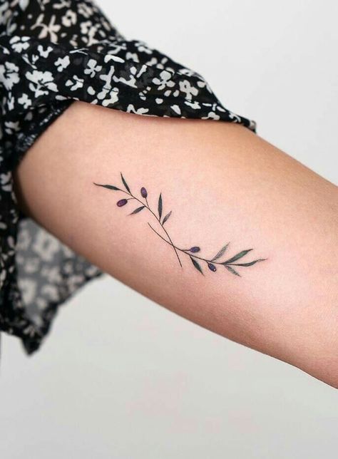 Ankle Olive Branch Tattoo, Tattoo Ideas Olive Branch, Two Olive Branch Tattoo, Olive Branch Tattoo With Words, Olive Branch Small Tattoo, Olive Branch Tattoos For Women, Small Olive Branch Tattoo Simple, Olive Tattoo Branch, Olive Branches Tattoo