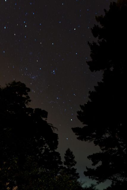 Stary stary night    Complete with cloud rolling in and a shooting star. Stary Sky Aesthetic, Stary Night Sky Aesthetic, Midnight Aesthetic, Free Wallpaper Backgrounds, Cute Galaxy Wallpaper, Midnight Sky, Sky Full Of Stars, Stars At Night, Star Sky