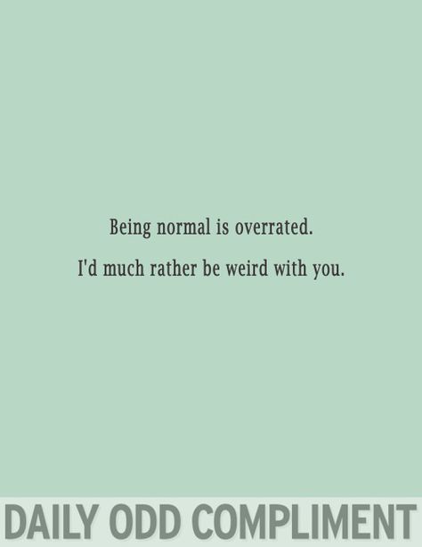 "Overrated Normal" Odd Compliment, Daily Odd, Mutual Weirdness, Daily Odd Compliment, Cheating Quotes, Be Weird, Flirting Messages, Money Book, Flirting Quotes For Her