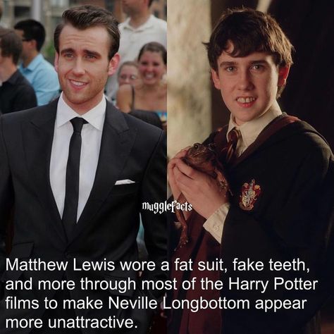 Neville Fanart, Neville Longbottom Cute, Neville Longbottom Wallpaper, Neville Longbottom Fanart, Neville And Luna, Sacred 28, Hogwarts Wallpaper, Neville Longbottom Aesthetic, Harry Potter Groups