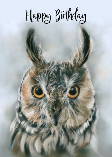 Happy Birthday Long Eared Owl Bird Portrait Pastel Art card Happy Birthday Owl, Birthday Owl, Happy Birthday My Friend, Bird Portrait, Cards Happy Birthday, Long Eared Owl, Owl Birthday, Birthday For Him, Owl Bird