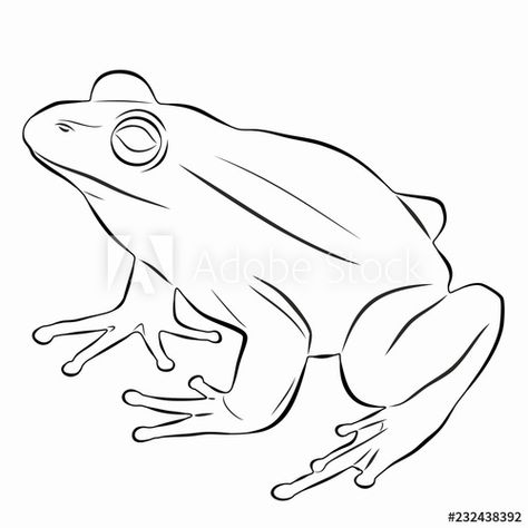 Download illustration of a frog , vector drawing Stock Vector and explore similar vectors at Adobe Stock. Frog Hands Drawing, Frog Line Art, Frog Drawing Sketches, Frog Vector, Blue Poison Dart Frog, Frog Logo, Frog Sitting, Frog Tattoos, Frog Drawing