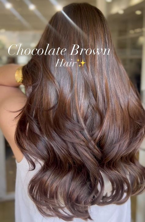 30 Best Brown Hair Colors to Inspire You Undertones Hair, Hair Color For Brown Skin, Rich Brown Hair, Hair Color For Dark Skin, Global Hair, Balayage Hair Color, Chocolate Brown Hair Color, Hair Color Chocolate, Brown Hair Looks