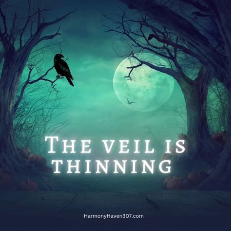 During this month, the veil between this world and the spirit world thins. I'm sure you have heard this reference in movies or heard people talk about it. At Samhain, the veil is thinnest. Ever wondered why walking around in the dark, even in your house, this time of the year makes you uneasy or gives you chills? ✨️👻✨️ . . . . . . . #Samhain #dark #autumn #spookyseason #spooky #spiritualliving #ghost #spirits Spiritual Living, Dark Autumn, Spirit World, The Veil, People Talk, Samhain, Time Of The Year, This World, In The Dark