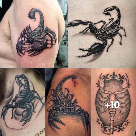 The post What is the Meaning of a Scorpion Tattoo? | 10+ Design Ideas to Check Out appeared first on TattooAdore. Scorpions Tattoo Design, Tattoo Scorpion Men, Scorpion Tattoo Men, Scorpion Tattoo Design Men, 3d Scorpion Tattoo Design, Realistic Scorpion Tattoo, Scorpion Tattoo For Men, Scorpio Tattoo For Men, Scorpion Tattoo Feminine