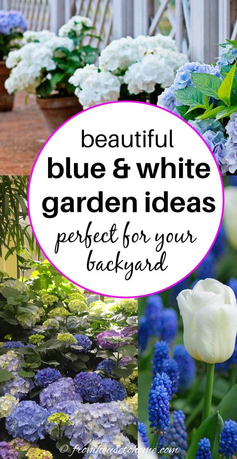 These blue and white garden design ideas are gorgeous! I really love the blue and white ginger jars used as garden decor in the yard. This is one of my favorite flower garden color schemes! White Garden Design, White Outdoor Table, Blue And White Garden, Blue And White Ginger Jars, Blue Flowers Garden, White Ginger Jars, Blue Plants, White Plants, Garden Design Ideas