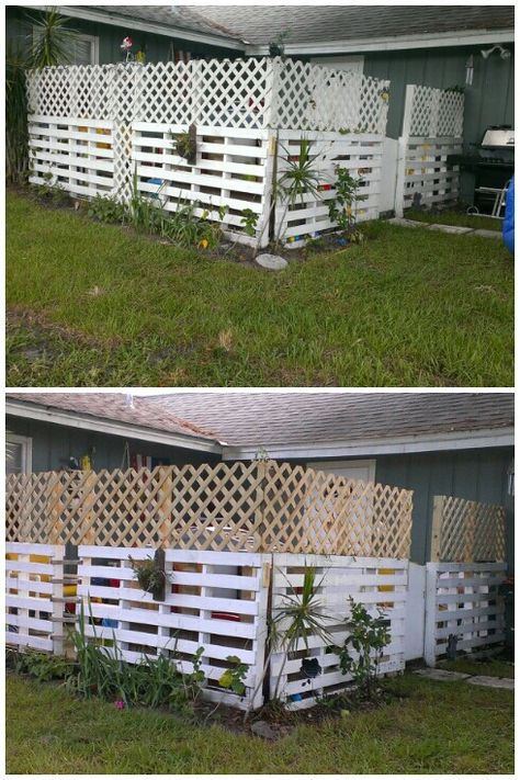 Trellis mounted on top of a pallet fence. You can do it too! Diy Pallet Fence Ideas, Bamboo Fence Ideas, Pallet Fence Ideas, Japanese Fence, Easy Fence, Fence Plants, Glass Fence, Small Fence, Rustic Fence