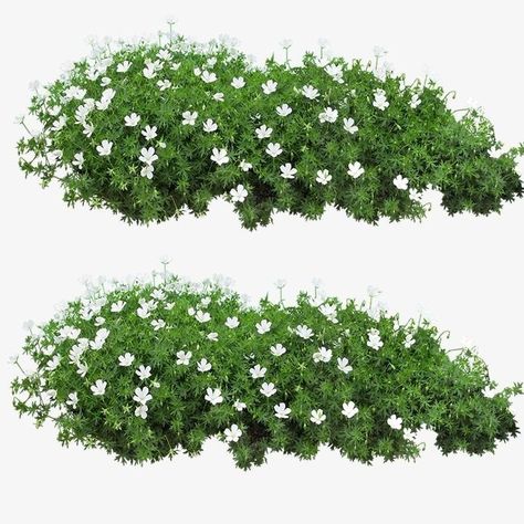 White Flower Bush, Flower Garden Illustration, Landscape Architecture Graphics, Tree Photoshop, Flower Bush, Architecture Graphics, Digital Painting Tutorials, Learn Art, Environmental Art