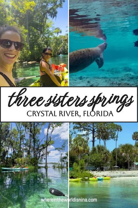 Clear blue waters, lush surrounds, and manatees! Here’s everything you need to know about kayaking around Three Sisters Springs! Three Sisters Springs Florida, Swimming With Manatees, Crystal River Florida, Fishing Dock, Spring Park, Clear Blue Water, Full Time Travel, 3 Sisters, Crystal River