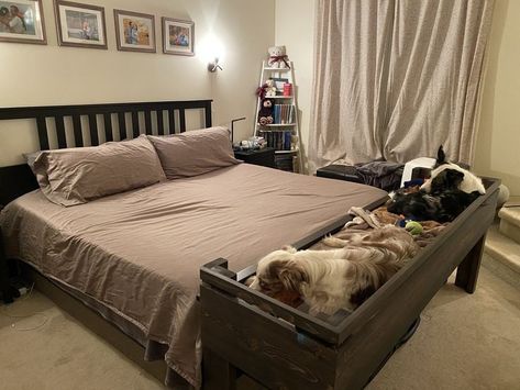 Built In Dog Bed, Furniture For Cats, Bed Extension, Homemaking Tips, Makeover Bedroom, Bed Dog, Sleeping In Bed, Pets For Sale, Room Makeover Bedroom