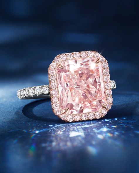 All Posts • Instagram Harry Winston Pink Diamond Ring, Harry Winston Engagement Ring, Harry Winston Ring, High Jewelry Design, Harry Winston Jewelry, Engagement Ring Designs, Pink Diamond Engagement Ring, Pink Engagement Ring, Jewelry Photography Styling