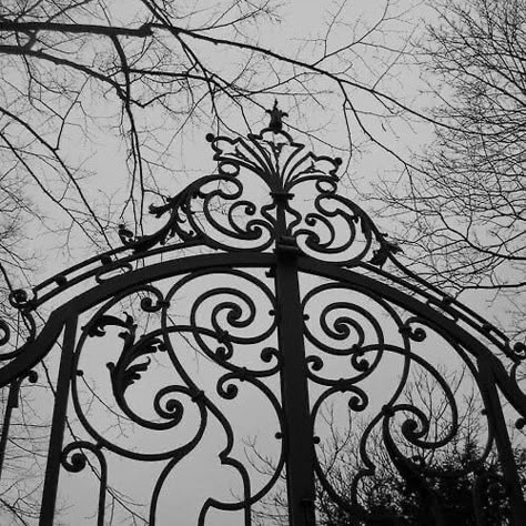 Nevermore Academy, Vampire Aesthetic, Gothic Romance, Gothic Aesthetic, Season Of The Witch, Six Feet Under, Goth Aesthetic, Gothic Architecture, Wednesday Addams