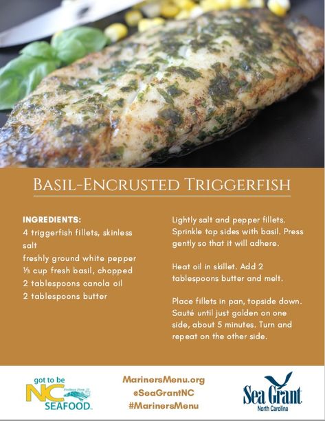 Triggerfish Recipe, Trigger Fish Recipe, Beachy Food, Plant Plate, Trigger Fish, Salmon Fish, Fish Recipes Healthy, 11th Anniversary, Fish Recipe