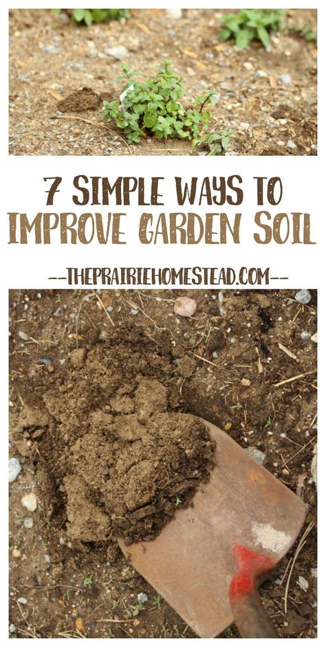 The Prairie Homestead, Prairie Homestead, Garden Plot, Compost Soil, Garden Plots, Growing Veggies, There Is Hope, Astuces Diy, Garden Compost