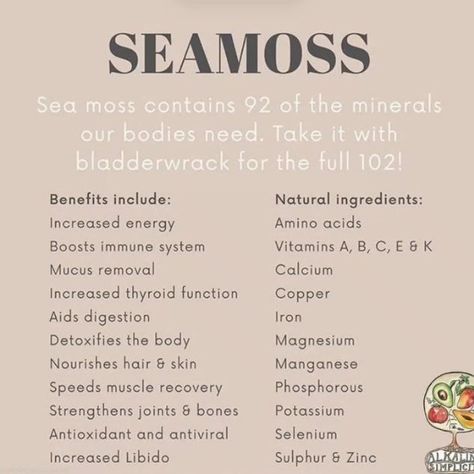 Seamoss Aesthetic, Alkalizing Foods, Seamoss Benefits, Anti Diet, Immunity Boost, Alkaline Recipes, Essential Oils Herbs, Anti Dieting, Everyday Health