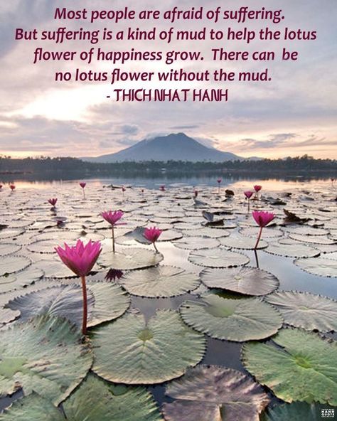 𝕋𝕙𝕚𝕔𝕙 ℕ𝕙𝕒𝕥 ℍ𝕒𝕟𝕙 ℚ𝕦𝕠𝕥𝕖𝕤 on Instagram: “Most people are afraid of suffering. But suffering is a kind of mud to help the lotus flower of happiness to grow. There can be no lotus…” Lotus Quote, Thich Nhat Hanh Quotes, Walking Meditation, Buddhist Teachings, Buddhism Quote, Buddha Zen, Buddhist Quotes, Quotes Wisdom, Thich Nhat Hanh