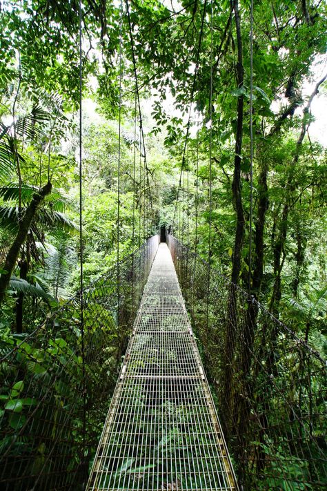 rope bridge Monteverde, Costa Rica Travel, Suspension Bridge, Tamarindo, In The Jungle, Ansel Adams, Haunted Places, Future Travel, Alam Semula Jadi