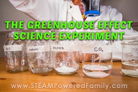 Ecology Experiments, Greenhouse Effect Project, The Greenhouse Effect, Science Experiment For Kids, Steam Challenges, High School Science Teacher, Experiment For Kids, Biology Labs, High School Biology