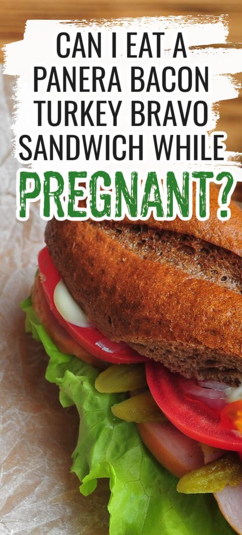 Pregnancy Safe Sandwiches, Pregnancy Sandwiches, Bacon Turkey Bravo, Panera Sandwiches, Rotisserie Turkey, Bacon Turkey, Copycat Panera, Deli Sandwiches, Hot Sandwich