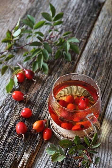 Rosehip Tea, Rose Hips, Magic Recipe, Coffee Photography, Tea Break, Wild Food, Tea Art, Coffee And Books, Fruit And Veg