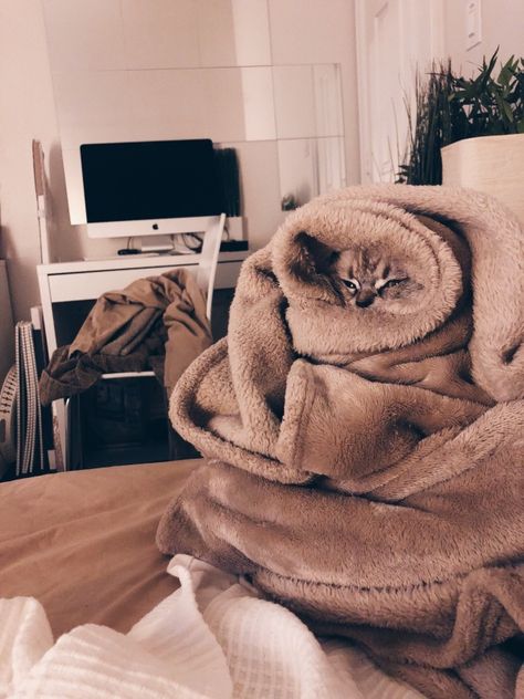 VSCO - ellikolbow Sick Day Tips, Wrapped In Blanket, Sick Day, Cute Cat, Bed