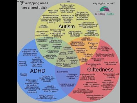 ASD/ADHD/Giftedness Venn diagram - The Chat Board - The Well-Trained Mind Community Gifted Adults, Tracker Ideas, Awareness Quotes, Behavior Analysis, Vie Motivation, Spectrum Disorder, Mental And Emotional Health, Psychology Facts, Mood Tracker