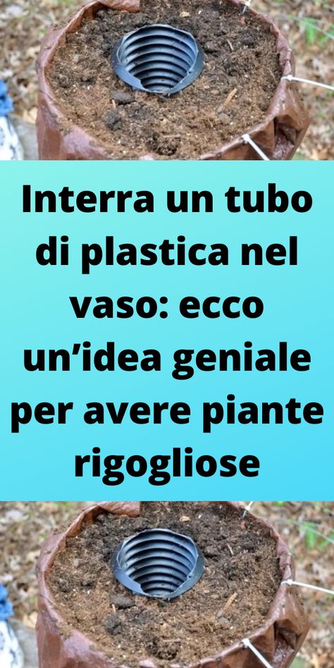 Interra un tubo di plastica nel vaso: ecco un’idea geniale per avere piante rigogliose Hobbit House, Terrarium, Persona, Home And Garden, Green, Quick Saves