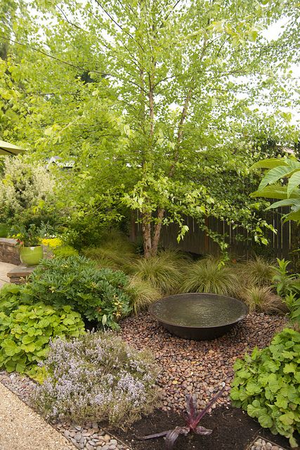 Garden Water Feature, Gravel Garden, Have Inspiration, Water Features In The Garden, Woodland Garden, Garden Fountains, Garden Tours, Plants And Flowers, Courtyard Garden