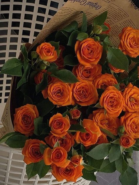 Orange Bouquets, Fleur Orange, Symbol Of Love, Nothing But Flowers, Favorite Flower, Summer Rain, Bouquet Arrangements, Orange Aesthetic, Flower Therapy