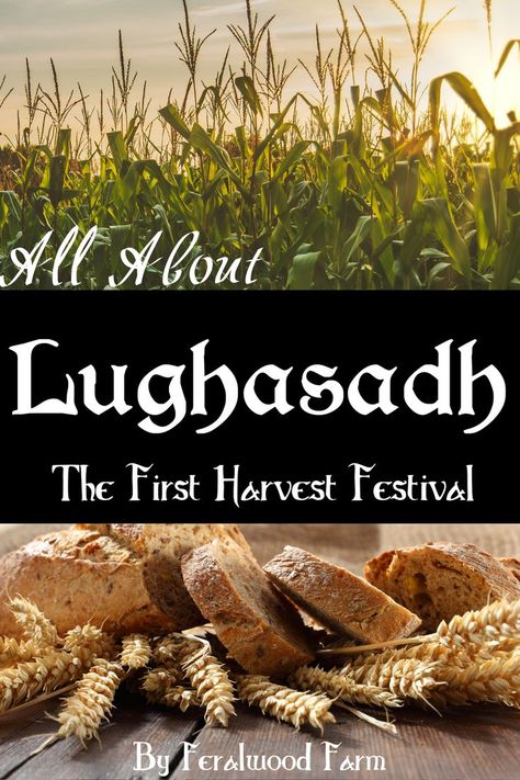 Learn everything about Lughnasadh || Lammas & The First Harvest Festival sabbat on the Wheel of the Year || Correspondences, History, Origins, and Traditions of Lughnasadh || #witchcraft #wheeloftheyear Lughnasadh Correspondences, Lughnasadh Recipes, Sabbath Recipes, Lughnasadh Ritual, Witchy Holidays, Moon Sign Meaning, Pagan Life, Witch Life, Pagan Holidays