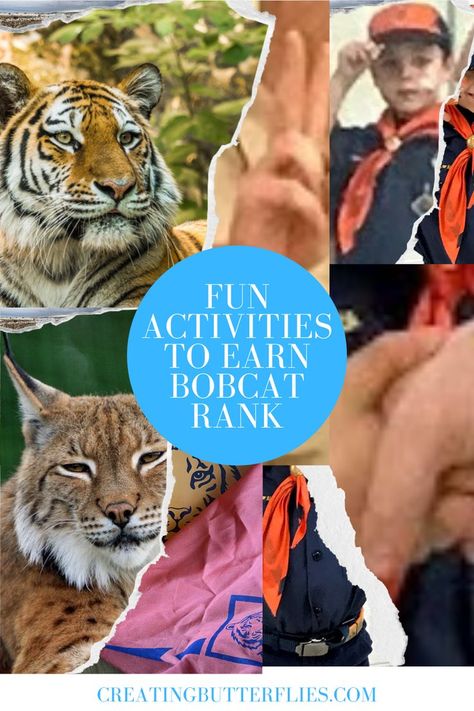 Bobcat Rank Games, Bobcat Badge Activities, Cub Scouts Bobcat Activities, Cub Scout Bobcat Activities, Cub Scout Lion Den Activities, Tiger Scout Den Meeting Ideas, Tiger Cub Scouts Activities, Tiger Activities, Scout Meeting Ideas