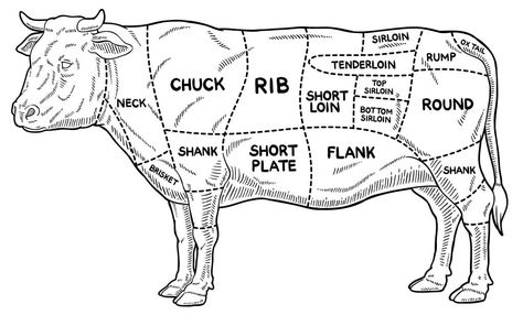 A Guide to Meat: The 8 Cuts of Beef - The Best Stop in Scott Beef Cuts Diagram, Pepper Steak And Onions, Beef Cuts Chart, Beef Chuck Steaks, Cow Meat, Smoked Chuck Roast, Beef Back Ribs, Ribeye Roast, Sirloin Tip Roast