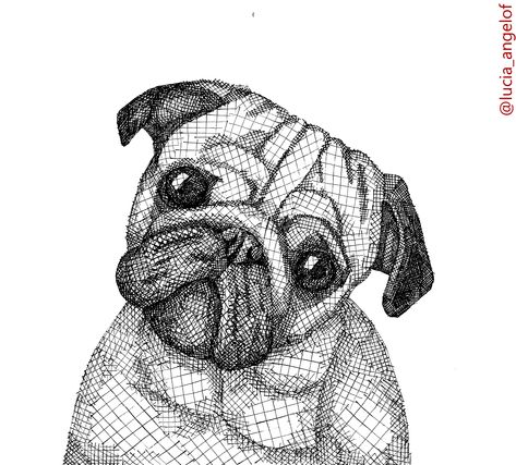 Hatching Animal Drawing, Cross Hatching Shading, Hatching Shading, Cross Hatching Drawing, Sketch Shading, Hatch Art, Hatch Drawing, Black White Drawing, Minimalistic Art